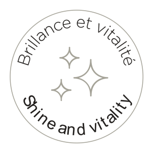 Icone brillance et vitalité