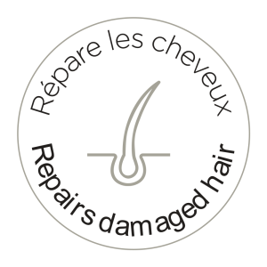 Icone repare les cheveux