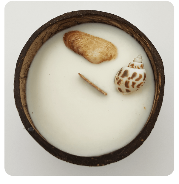 Lumininie_Noix_de_Coco_2 Bougie noix de coco